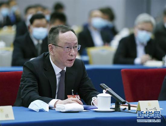  5月23日，全國政協(xié)委員王一鳴在政協(xié)聯(lián)組會(huì)上發(fā)言。新華社記者 謝環(huán)馳 攝